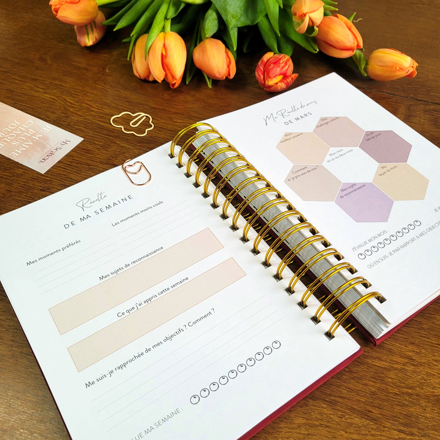 Planner My Season 2025 - Beige Eva