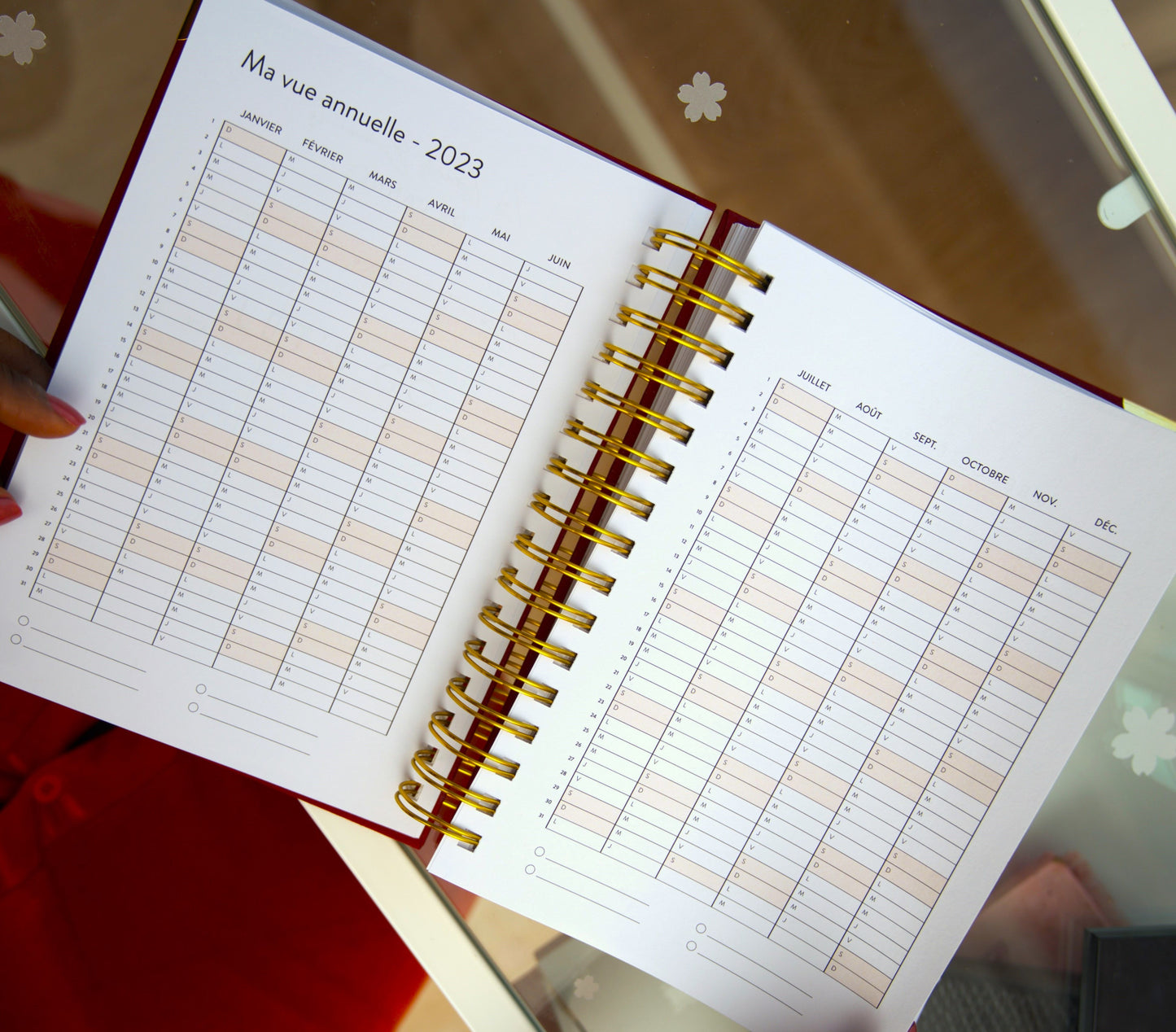 Planner Eva 2023