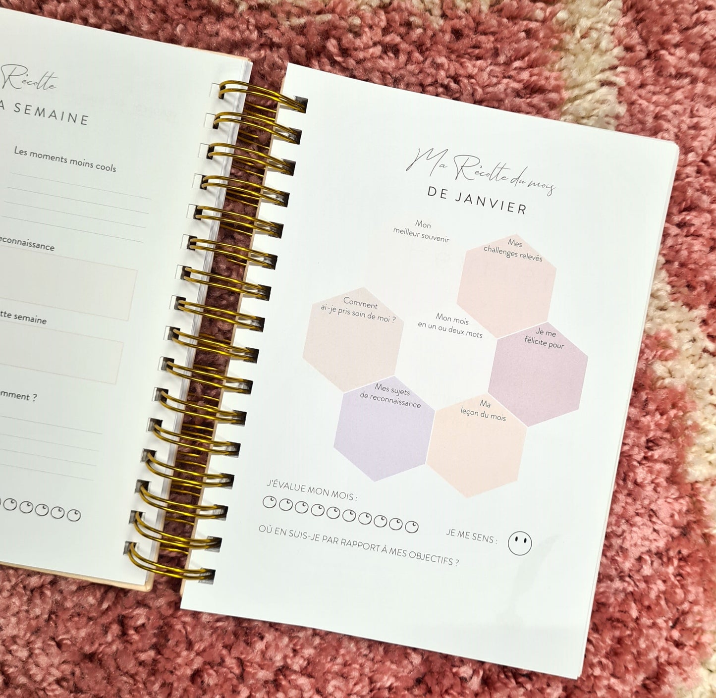 Planner Eva 2023