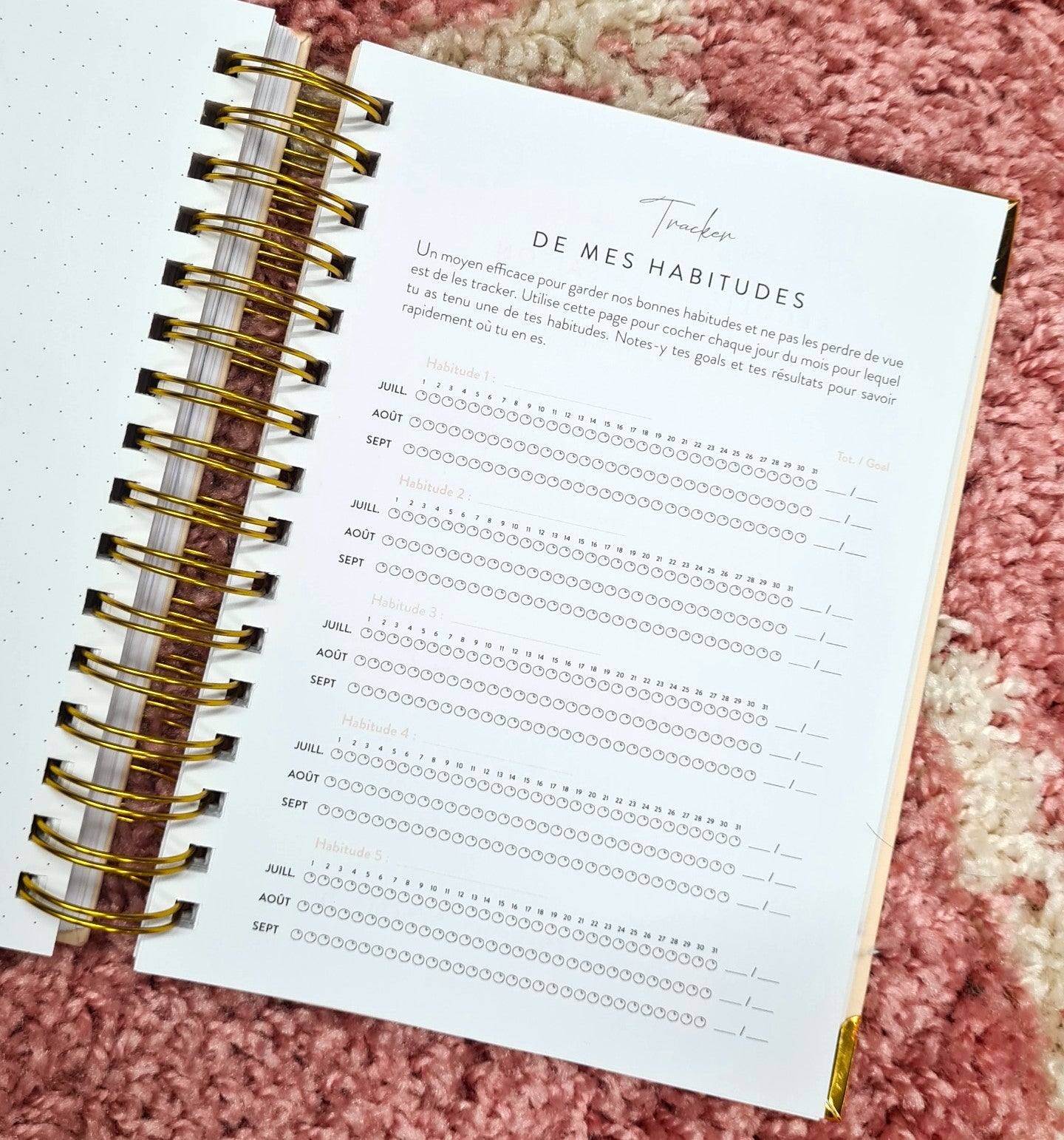 Planner Eva 2023
